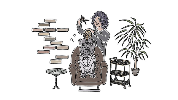 初めてのお客様へ